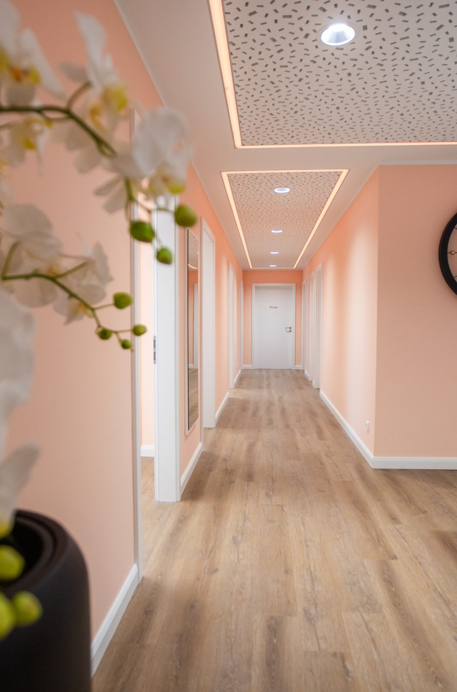 Blick in den Flur der Praxis mit Orchideen